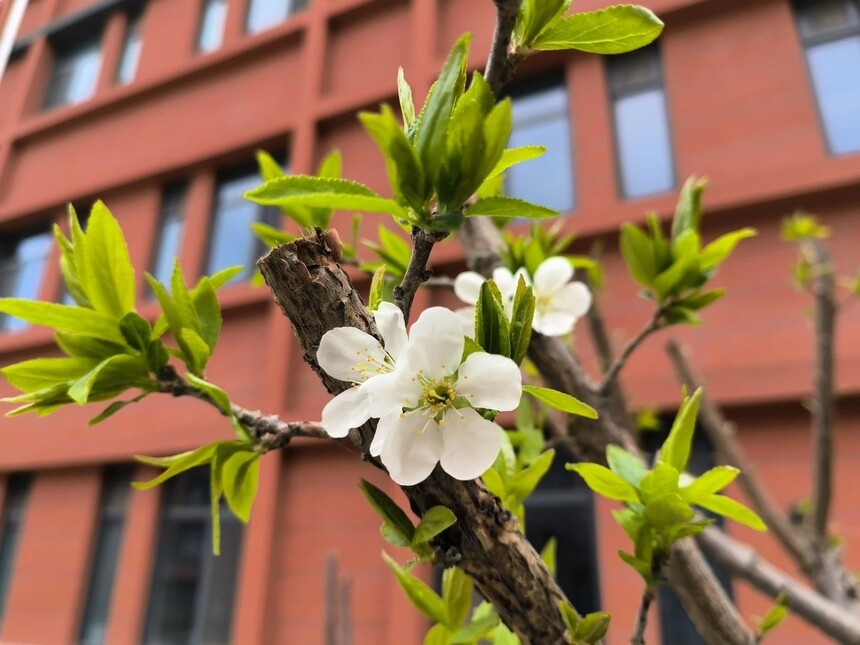 1744590452216616.jpg 8.jpg