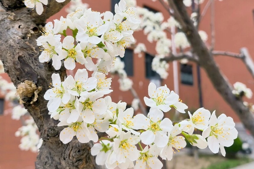 1744590463490209.jpg 9.jpg