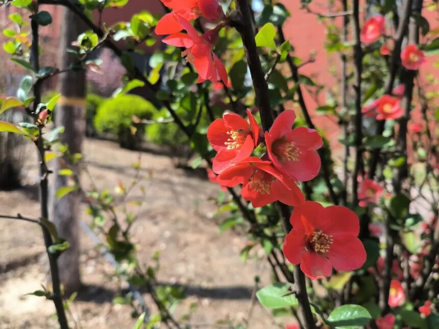 1744590570715841.jpg 1.jpg