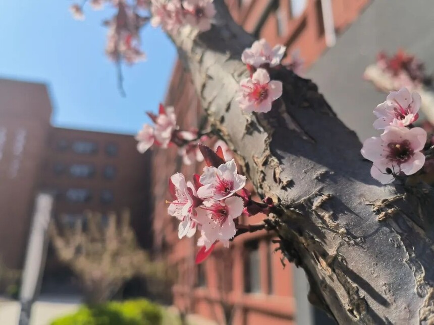 1744590601478901.jpg 14.jpg