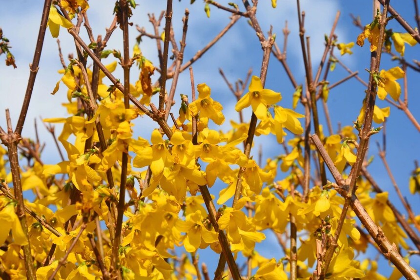 1744590612715026.jpg 2.jpg