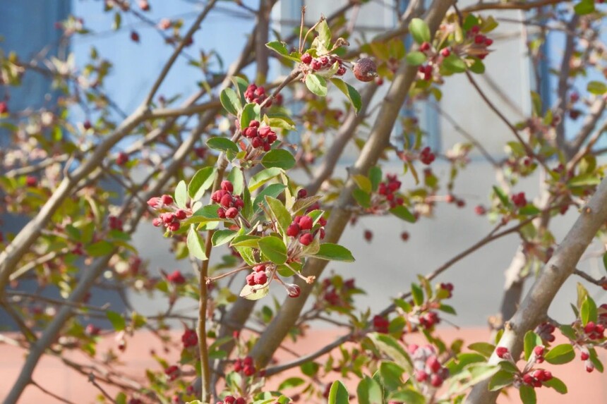 1744590622488772.jpg 3.jpg