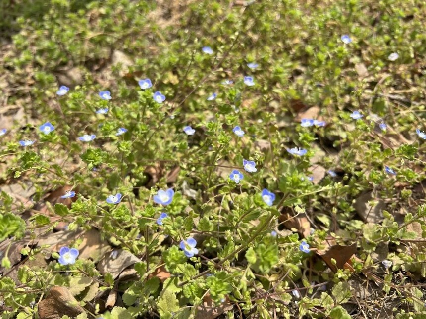 1744590634524591.jpg 4(1).jpg