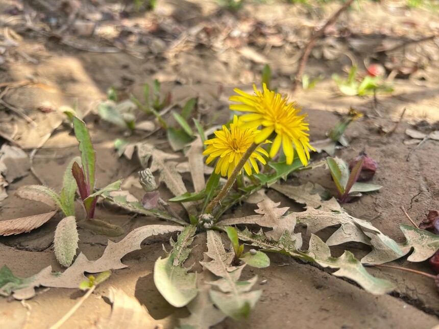 1744590664572670.jpg 6.jpg