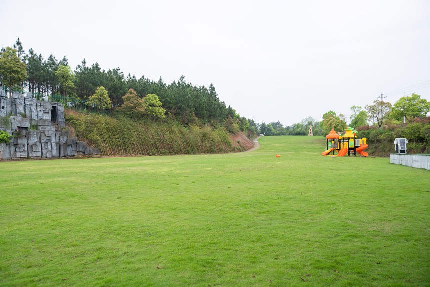 DSC09464.jpg