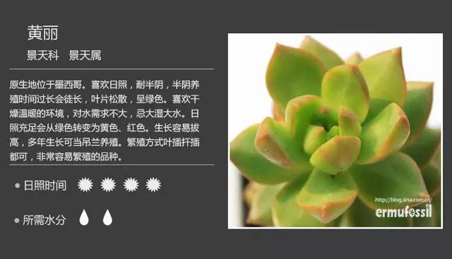 Rrrel851USE7Xhuq.jpg