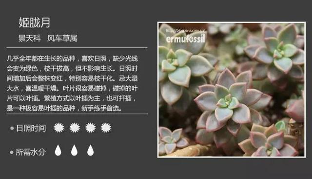 s9YmLMi97t7KJI2t.jpg