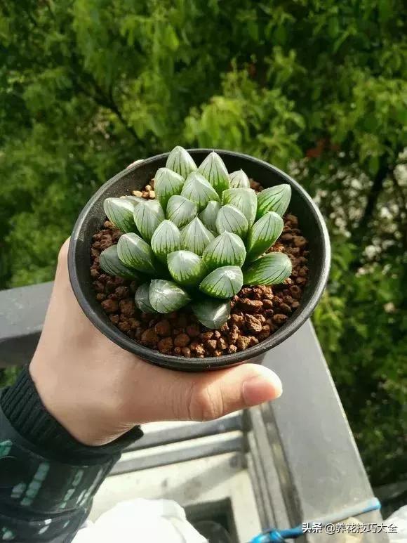 eGz31ZO8x5IGMuO0.jpg