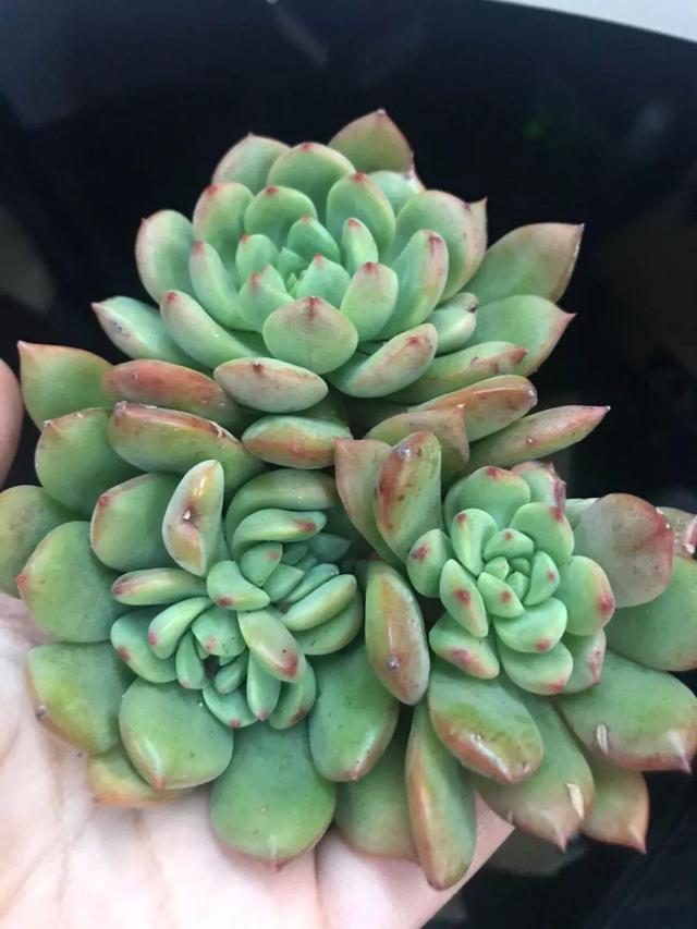DqiQqe9me5i2q9N1.jpg DqiQqe9me5i2q9N1.jpg