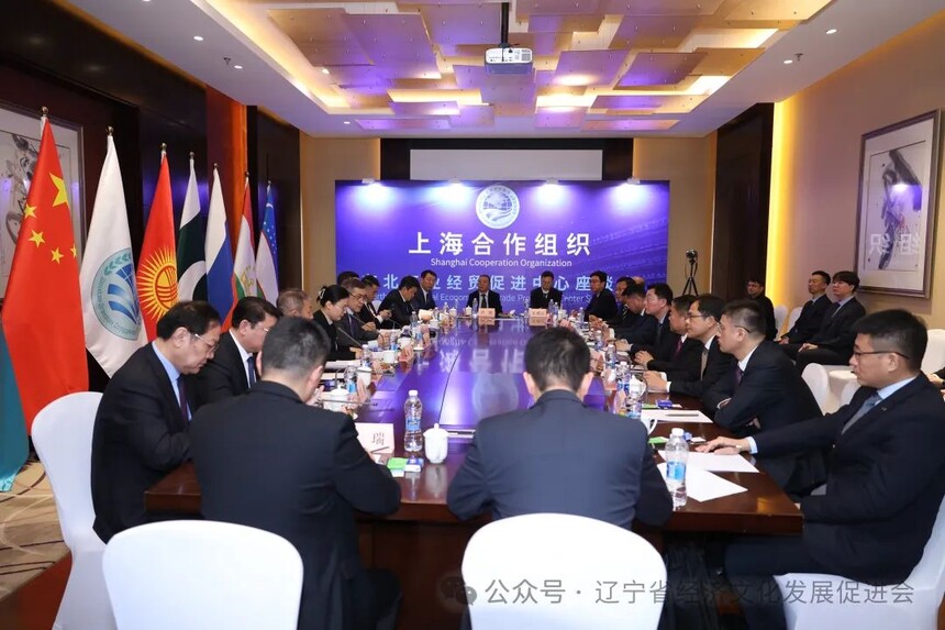 1735522907871901.jpg 5.jpg