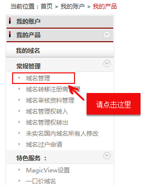 DNS޸