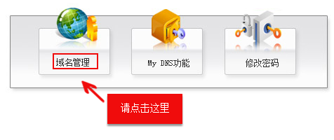 DNS޸