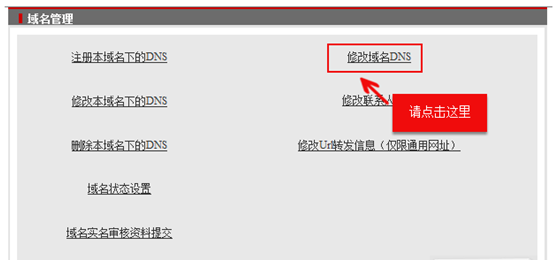 DNS޸