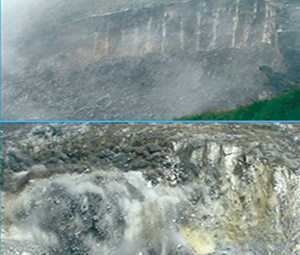 1555037321611148.jpg 12.jpg