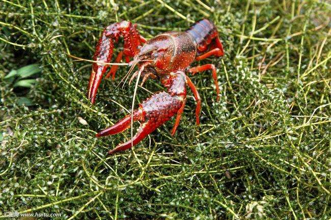 1572314217666921.jpg 1572314217666921.jpg