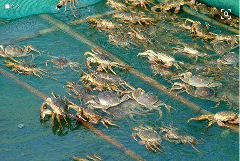 1572314689389150.jpg 1572314689389150.jpg