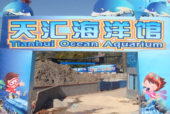 1573801960872510.jpg 1573801960872510.jpg