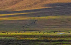 ΢Ž؈D_20190426141336.png