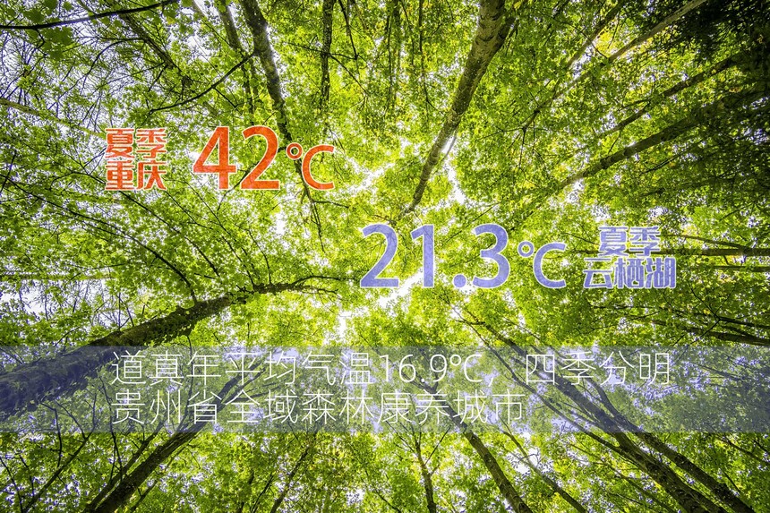 ΢ňDƬ_20250216102419.jpg