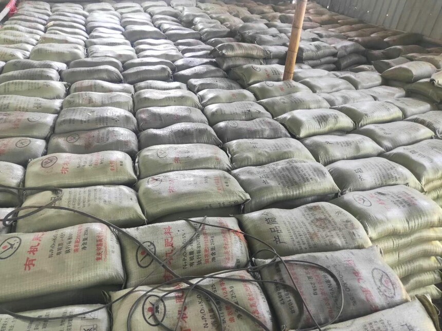 1731565972920395.jpg IMG_9281.JPG