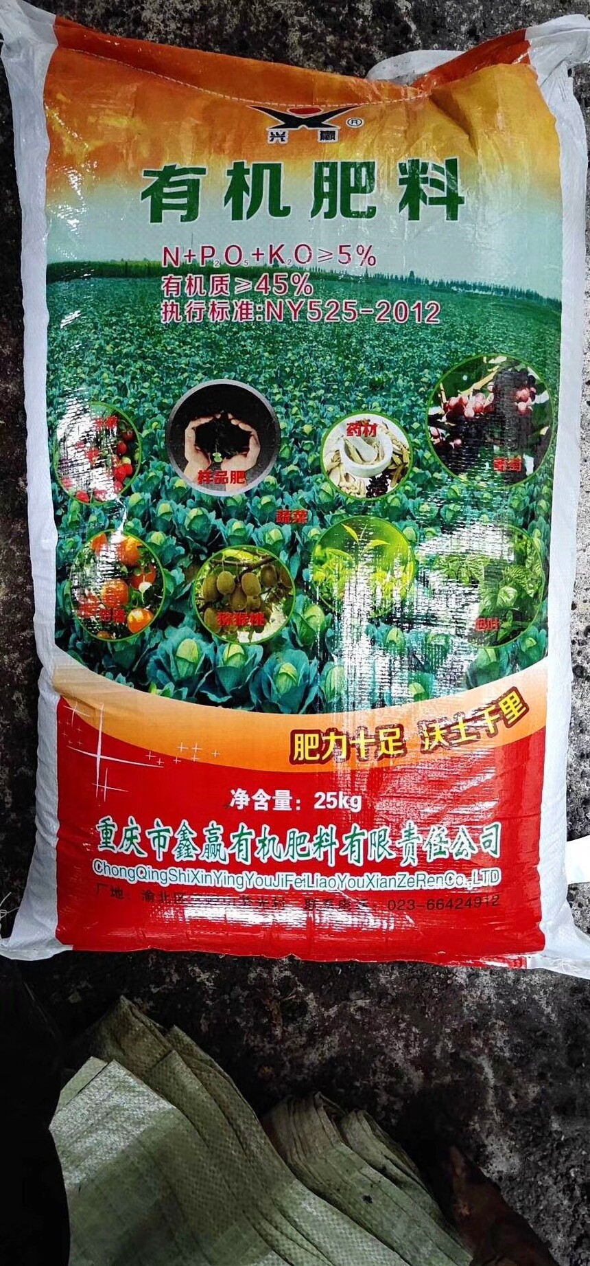 1732170603673480.jpg IMG_9326.JPG