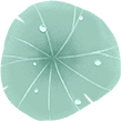 1576569206518584.png image.png
