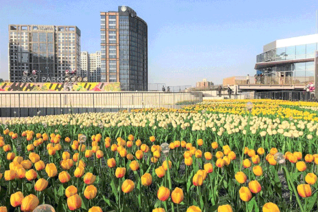 1577069805294575.gif 2222.gif