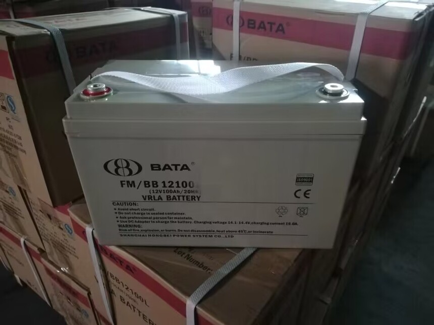 1717294810393363.jpg 100TT.jpg