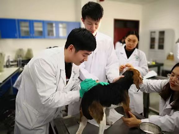 成都希望职业学校 成都希望职业学校