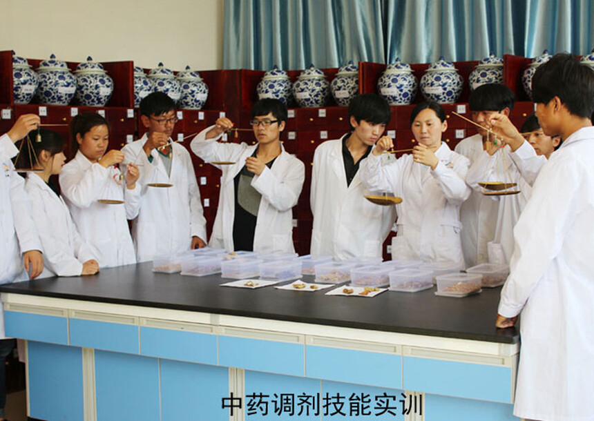 中药学专业 中药学专业