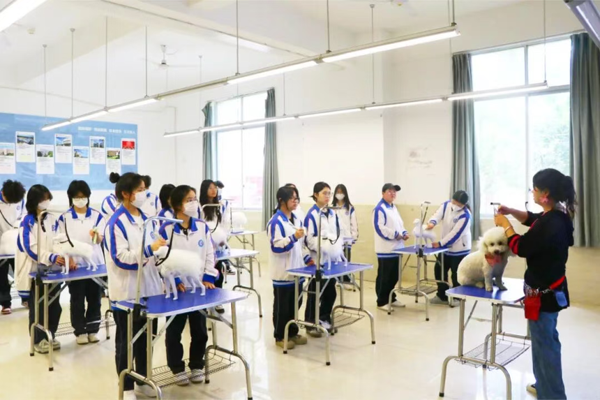 成都希望职业学校 成都希望职业学校