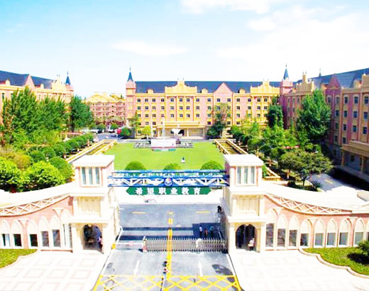 �ɶ�ϣ��ְҵѧУ