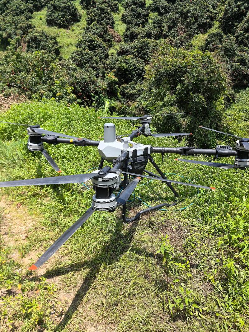 �ɶ�ϣ��ְҵѧУ