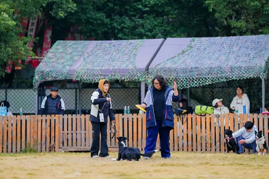 ������ҽרҵ