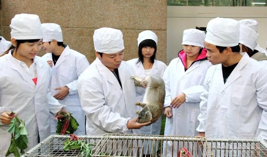 畜牧兽医专业 畜牧兽医专业