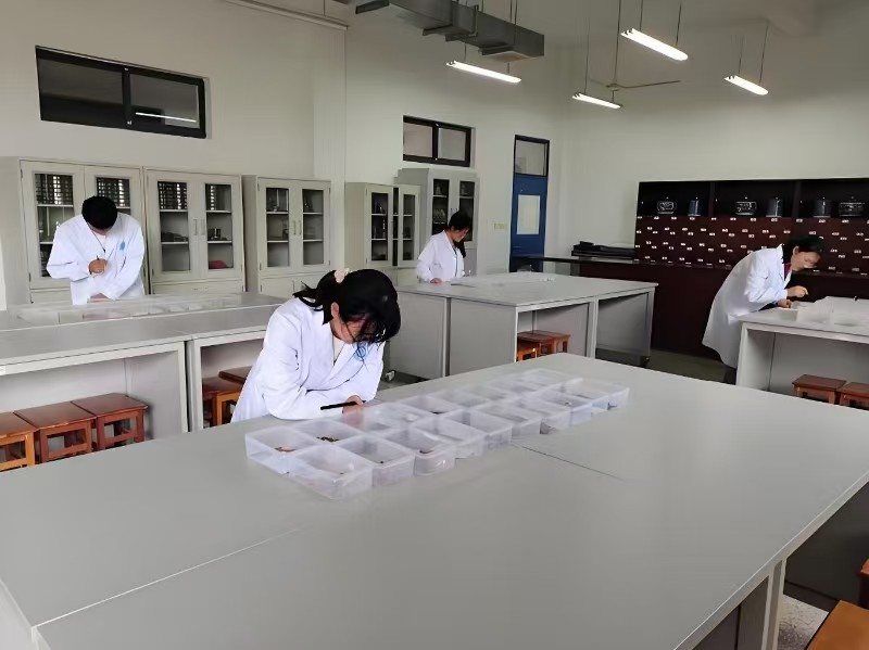 中药学专业 中药学专业