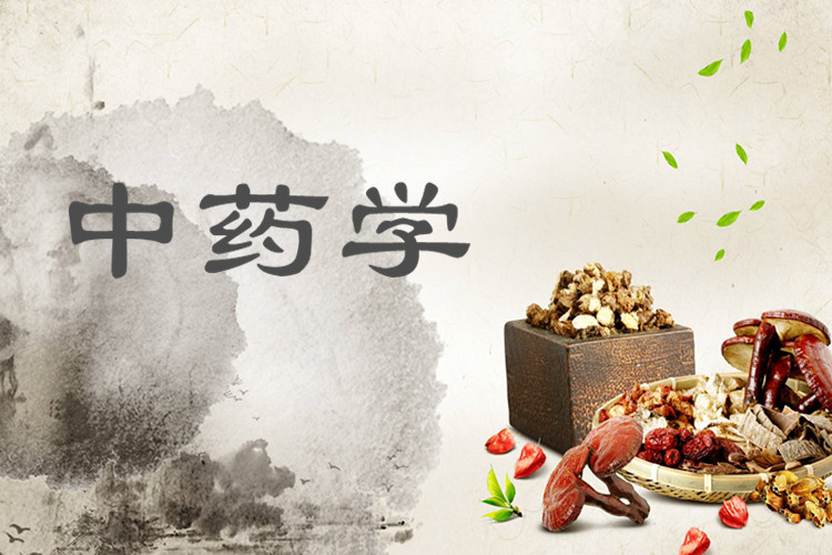 中药学专业 中药学专业