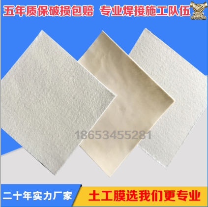 1595936460951219.png 复合土工膜.png