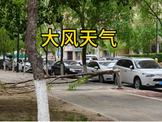 924db135577dd5690aa5d5d1b3ab259a.png