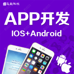 APP开发