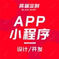 APP开发