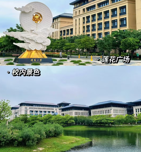 1738917042711451.png