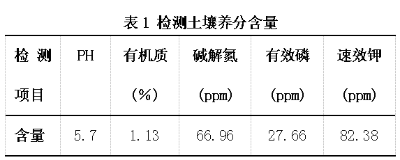 1.2һ.png
