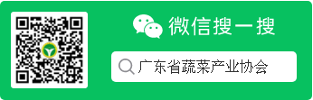 ΢ŹںŶά.png