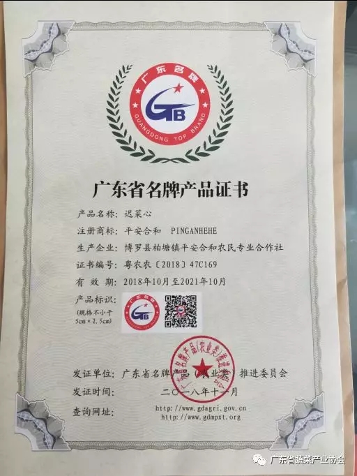 1583720810244460.jpg
