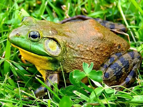 1775206915766956.jpg 1768289597209237.jpg