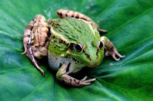 1775722903921744.jpg 1555556232845356.jpg