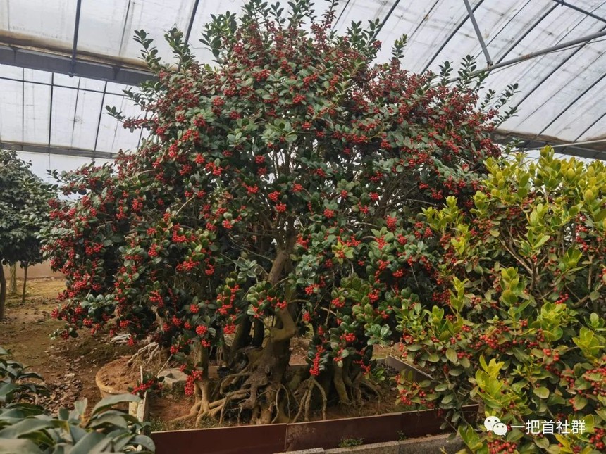 1626939829591008.jpg 微信图片_20210722154327.jpg