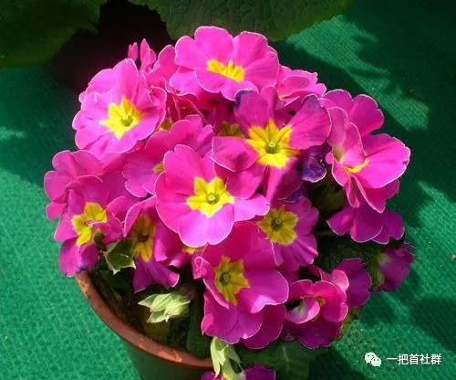 1626940178685921.jpg 微信图片_20210722154448.jpg