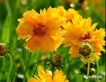 1626940197907073.jpg 微信图片_20210722154451.jpg